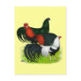 Long-tailed Rooster Trio Postcard