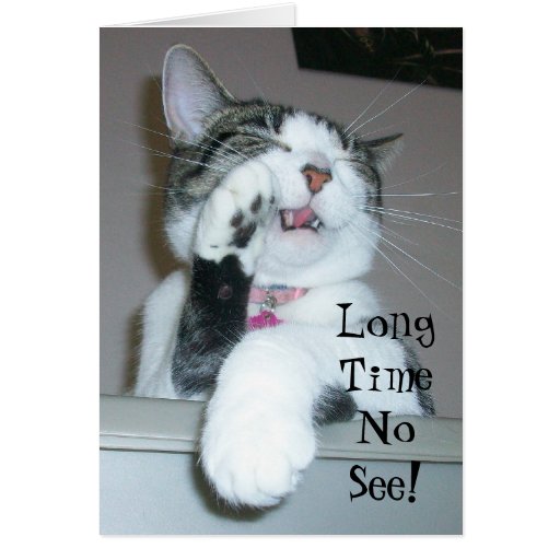 Long Time No See Greeting Cards Zazzle