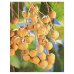 Longan fruits flyers