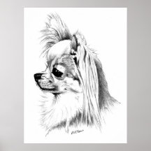 Longcoat Chihuahua Champion Print