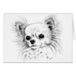 Longcoat chihuahua greeting card