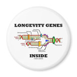 Longevity Genes Inside (DNA Replication) magnets