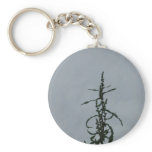 Longevity keychains
