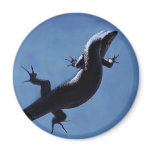 Longevity magnets