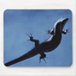 Longevity mousepads
