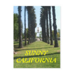 LONGEVITY POSTCARDS SUNNY CALIFORNIA