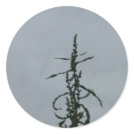 Longevity stickers