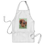 Longhaired Dachshund Apron