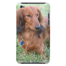 Longhaired Dachshund iTouch Case iPod Touch Case