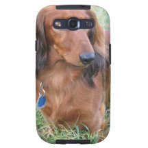 Longhaired Dachshund Samsung Galaxy Case