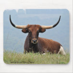 Longhorn6478Mousepad