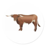 Longhorn Cattle