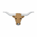 Longhorn embroidered shirts