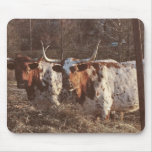 Longhorn Mousepad