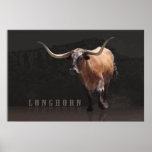Longhorn Power H Poster posters