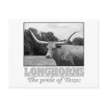 longhorn_pride postcards