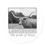 longhorn_pride stickers