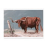 LONGHORN STEER POST CARDS