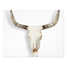 longhorn_steer_skull custom invite