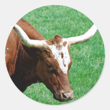 Longhorn Sticker