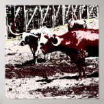 Longhorns at the Stockyards posters