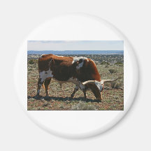 LONGHORNS MAGNET