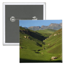 Longwall, Giant's Castle, Drakensberg Mountains, Button