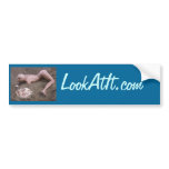 Look at It! Bumper Stickers