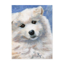 Look At That Face Puppy Postcard