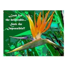 Look for... post cards