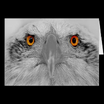 Look into my eyes cards