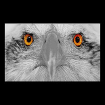 Look into  my eyes photography