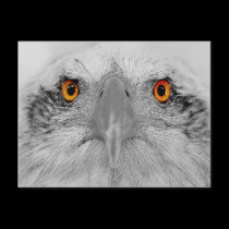 Look into my eyes postcards