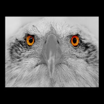 Look into my eyes posters