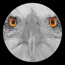 Look into my eyes stickers
