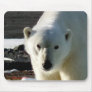 Look into the eyes of a wild Polar bear Mousepad