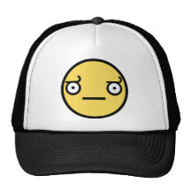 Look of Disapproval Hat