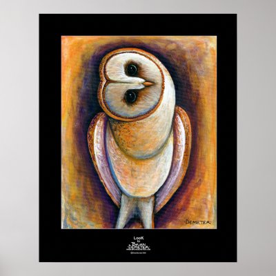 LooK Posters by BrianDemeter
