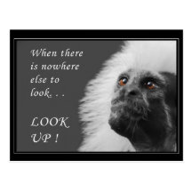 Look up postcard