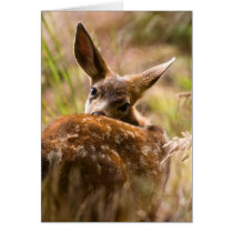 Looking Back Greeting Cards