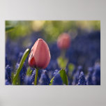Looking Behind Your Love Print