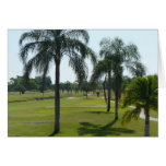 Looking down The Fairway cards