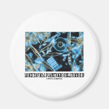 Looking For A Planktonic Relationship (Diatoms) Magnets