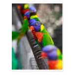 Looking for me? post card
