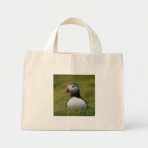 Looking for the Burrow Puffin Bags