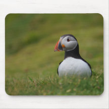 Looking for the Burrow Puffin Mousepads