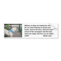 Looking for Work Bumper Sticker