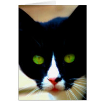 Looking for you greeting cards