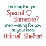 Looking for your, Someone?, Special, She's wait... t-shirts
