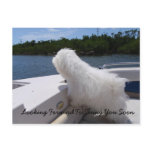 Looking Forward To Seeing You Soon postcards